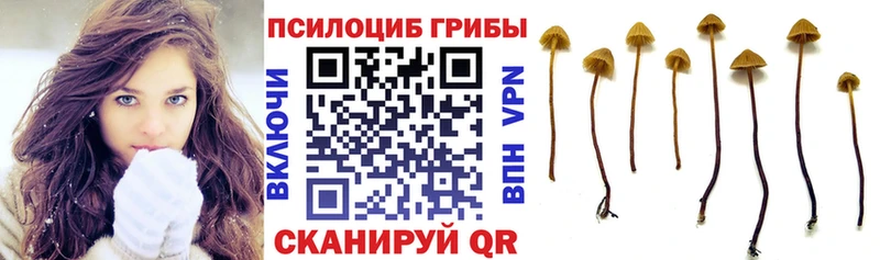 Галлюциногенные грибы Magic Shrooms  OMG как зайти  Кандалакша 